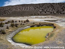 Sajama National Park - Bolivia