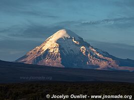 Route Sajama-Tambo Quemado-Pampa Mogachi-Laguna Macaya-Laguna Sakewa - Bolivie