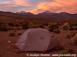 Route Sajama-Tambo Quemado-Pampa Mogachi-Laguna Macaya-Laguna Sakewa - Bolivie