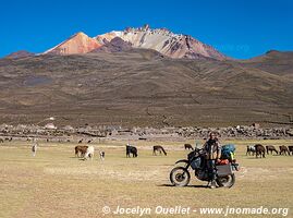 Road Laguna Coipasa-Salinas de Garci Mendoza-Jirira-Ayque - Bolivia