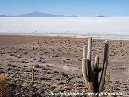 Salar de Uyuni - Bolivie