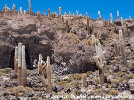 Salar de Uyuni - Bolivie