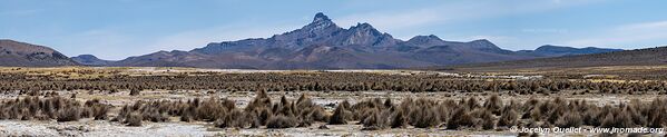 Parc national Sajama - Bolivie