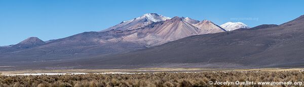 Parc national Sajama - Bolivie