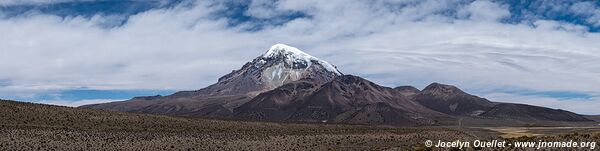 Parc national Sajama - Bolivie