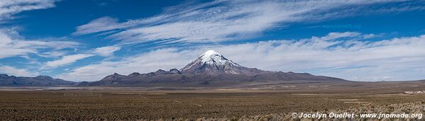 Road Sajama-Tambo Quemado-Pampa Mogachi-Laguna Macaya-Laguna Sakewa - Bolivia