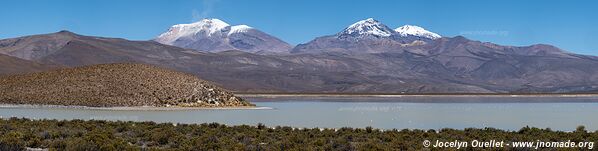 Route Laguna Sakewa-Cruz de Huayllas-Sabaya-Villa Vitalina-Laguna Coipasa - Bolivie