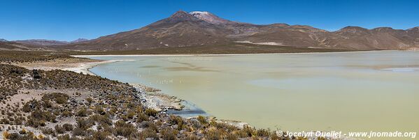 Route Laguna Sakewa-Cruz de Huayllas-Sabaya-Villa Vitalina-Laguna Coipasa - Bolivie