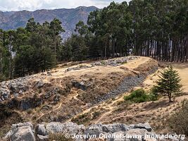 Q'enqo - Peru