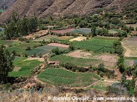 Trail from Huayllabamba to Racchi - Peru