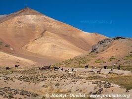 Road Cotohuasi-Huaytapampa-Andagua - Peru