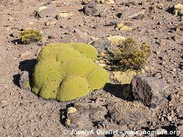 Piste Arequipa-Laguna de Salinas-Volcán Ubinas-Lucco - Pérou