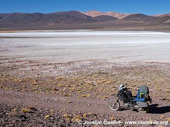 Reserva Provincial Laguna Brava - Argentine