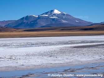 Reserva Provincial Laguna Brava - Argentine