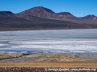 Reserva Provincial Laguna Brava - Argentina