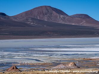 Reserva Provincial Laguna Brava - Argentine