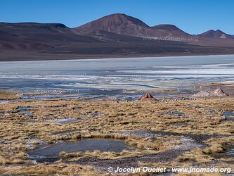 Reserva Provincial Laguna Brava - Argentina