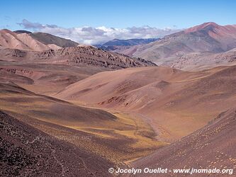 Reserva Provincial Laguna Brava - Argentina