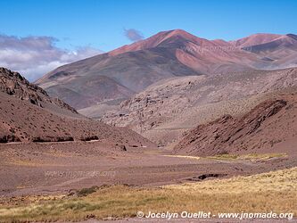 Reserva Provincial Laguna Brava - Argentine