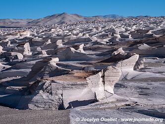 Campo Piedra de Pomez - Argentina