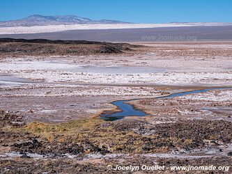 El Peñón-Piedra de Pomez-Laguna Carachi Pampa Loop - Argentina