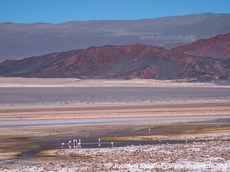 Circuit El Peñón-Piedra de Pomez-Laguna Carachi Pampa - Argentine