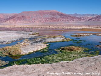 Circuit El Peñón-Piedra de Pomez-Laguna Carachi Pampa - Argentine