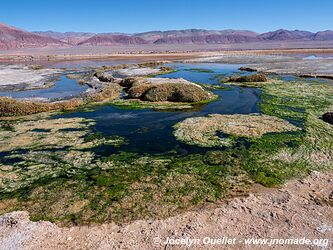 El Peñón-Piedra de Pomez-Laguna Carachi Pampa Loop - Argentina