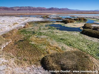 El Peñón-Piedra de Pomez-Laguna Carachi Pampa Loop - Argentina