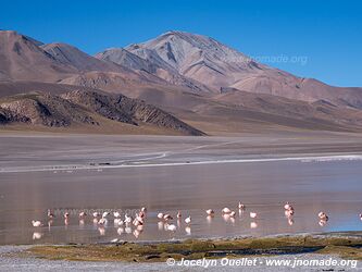 El Peñón-Laguna Grande-Laguna Diamante Loop - Argentina