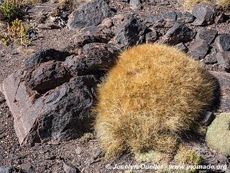 El Peñón-Laguna Grande-Laguna Diamante Loop - Argentina