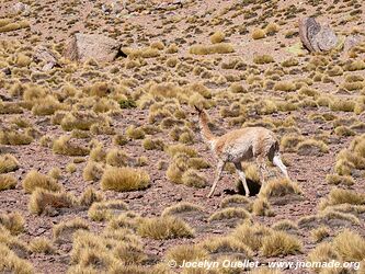 El Peñón-Laguna Grande-Laguna Diamante Loop - Argentina