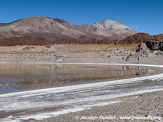 Circuit El Peñón-Laguna Grande-Laguna Diamante - Argentine