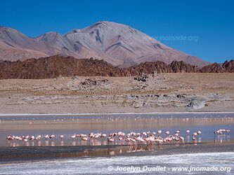 Circuit El Peñón-Laguna Grande-Laguna Diamante - Argentine