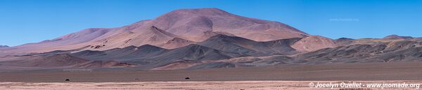 Reserva Provincial Laguna Brava - Argentina