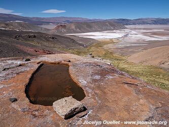 Vega de la Botijuela - Salar de Antofalla - Argentine