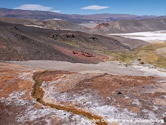 Vega de la Botijuela - Salar de Antofalla - Argentine