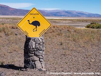 Salar de Antofalla - Argentine