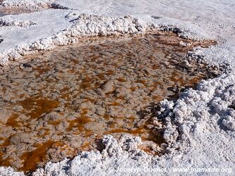 Laguna Verde - Salar de Antofalla - Argentina