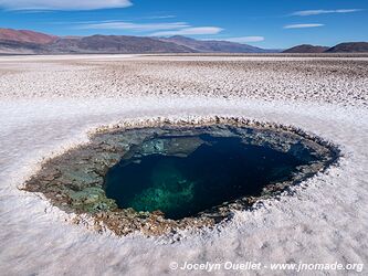 Laguna Verde - Salar de Antofalla - Argentina