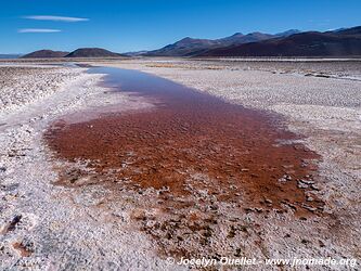 Laguna Verde - Salar de Antofalla - Argentine