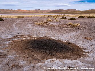 Route de Salar de Pocitos à Santa Rosa de los Pastos Grandes - Argentine