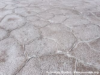 Salar de los Pastos Grandes - Argentine