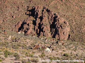 Road 40 from San Antonio de los Cobres to Susques - Argentina