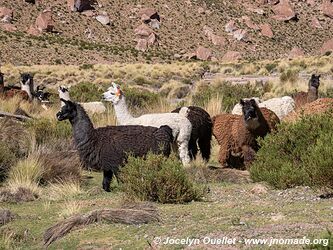 Road 40 from San Antonio de los Cobres to Susques - Argentina