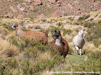 Road 40 from San Antonio de los Cobres to Susques - Argentina