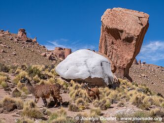 Road 40 from San Antonio de los Cobres to Susques - Argentina