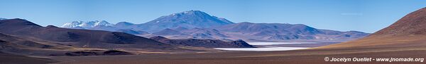 Reserva Provincial Laguna Brava - Argentine