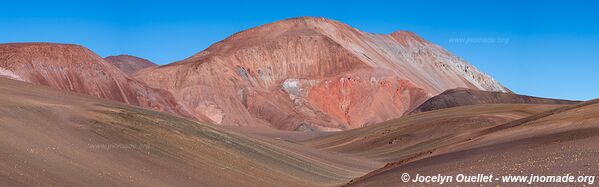 Reserva Provincial Laguna Brava - Argentine