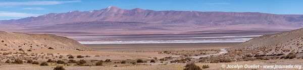 Salar de Pocitos - Argentine